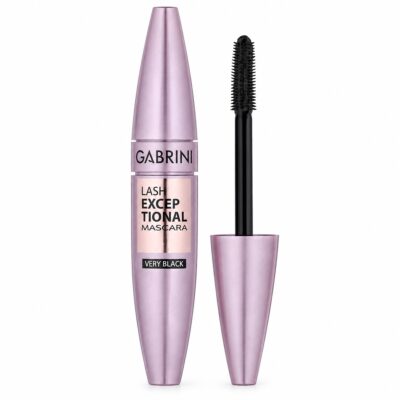 ریمل حجم دهنده گابرینی مدل Lash Exceptional حجم 12 میلی لیتر