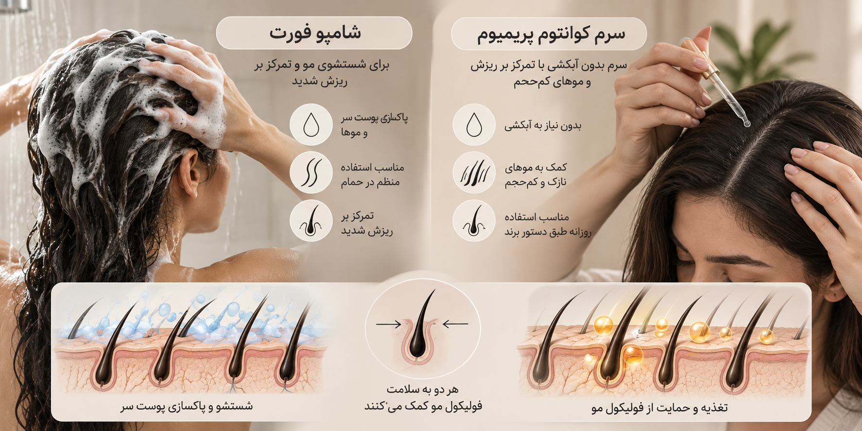 بیلقثس ر